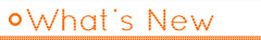 What's New