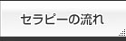 セラピーの流れ